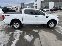 Passionate enthusiasts wanted for this sexy and dynamic 2021 Ford Ranger . Take pleasure in the butt... (image 5)