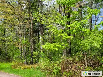 Terrain boisé en villégiature constructible pour résidence unifamiliale ou chalet, lettre d'autorisa...