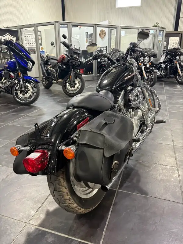 2004 Harley-Davidson Sportster 883 Custom in Sport Bikes in Sudbury - Image 8
