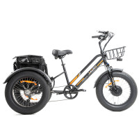 750W Electric Fat Tire Trike With Cargo Bag 1 year  Warranty