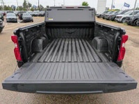 2024 Chevrolet Silverado 1500 AMVIC Licensed (image 5)