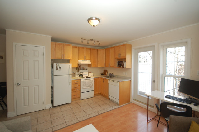 1 Bedroom Downtown Halifax for July in Long Term Rentals in City of Halifax - Image 2