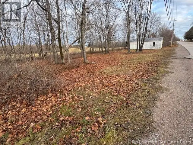 4589 route 880 Havelock, New Brunswick in Land for Sale in Moncton - Image 5