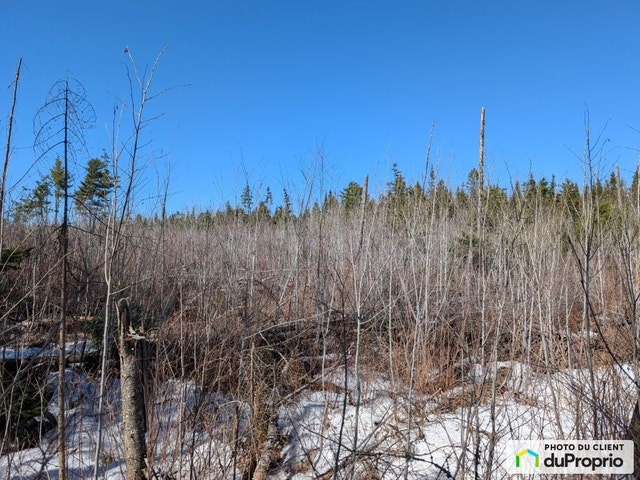 $42,900 - Residential Lot for sale in St-Bruno-De-Kamouraska — photo 2