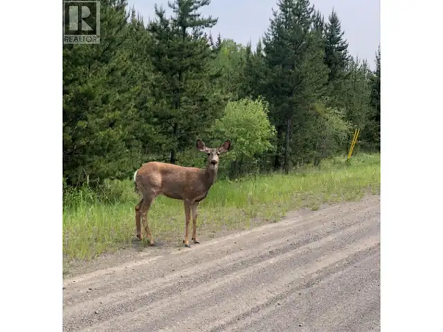 LOT 1 5916 LITTLE FORT 24 HIGHWAY Lone Butte, British Columbia in Land for Sale in 100 Mile House - Image 5