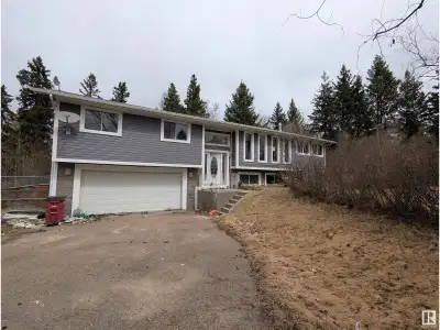Acreage living at its finest! This stunning walkout bi-level sits on just over 4 acres of land, offe...