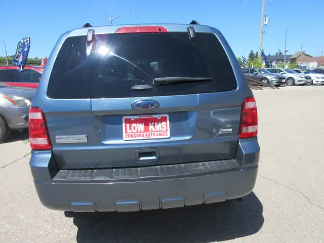 2011 Ford Escape XLT566535319171911687