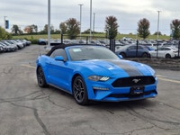 Look at this certified 2022 Ford Mustang EcoBoost Premium | Leather | Nav | Cooled + Heated Seats |... (image 6)