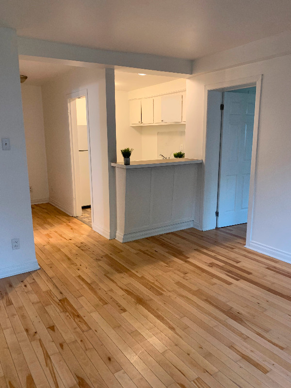 3 1/2 for rent NDG Locations longue durée Ville de Montréal Kijiji
