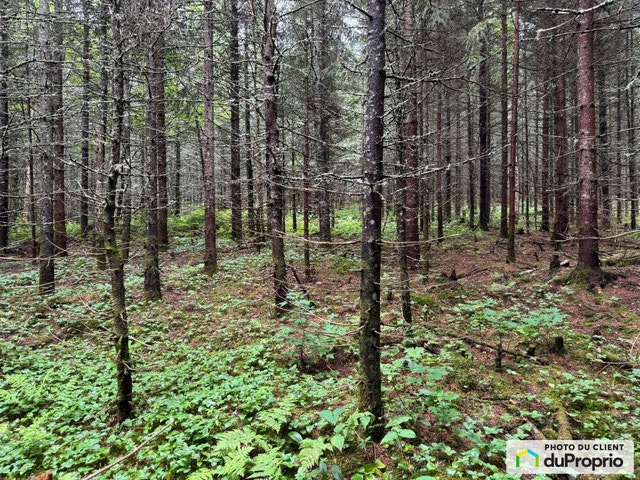 $160,000 - Residential Lot for sale in Ste-Brigitte-De-Laval — photo 3