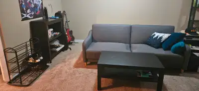Single bedroom basement suite is available from July 1 !