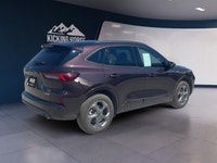 Shop our selection of quality pre-owned vehicles from all makes and models, each offering excellent... (image 4)