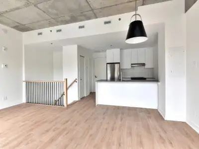 Apartment/Appartement, Studio, 3.5, 3 1/2, 4.5, 4 1/2, 5.5, 5 1/2, Brand-new, tout neuf, luxe, Plate...