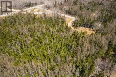 This beautiful forested lot offers privacy and tranquility while being situated just 10 minutes from...
