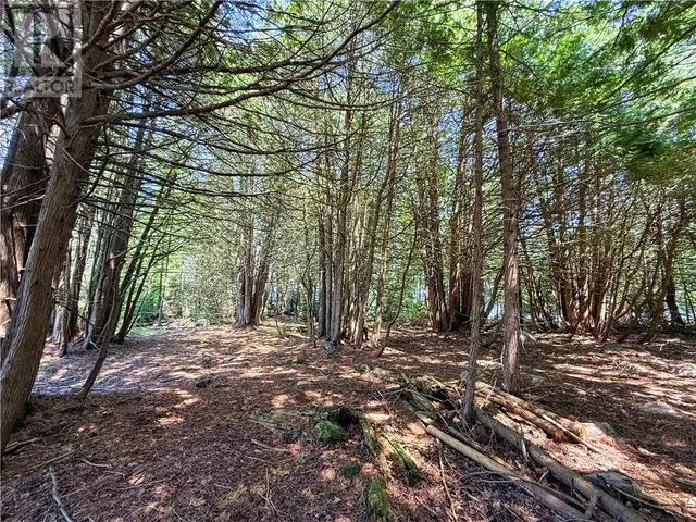514C East Road Mindemoya, Manitoulin Island, Ontario in Land for Sale in Sudbury - Image 16