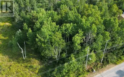 Discover the perfect spot to build your dream home on this level, wooded lot located in a quiet, sou...
