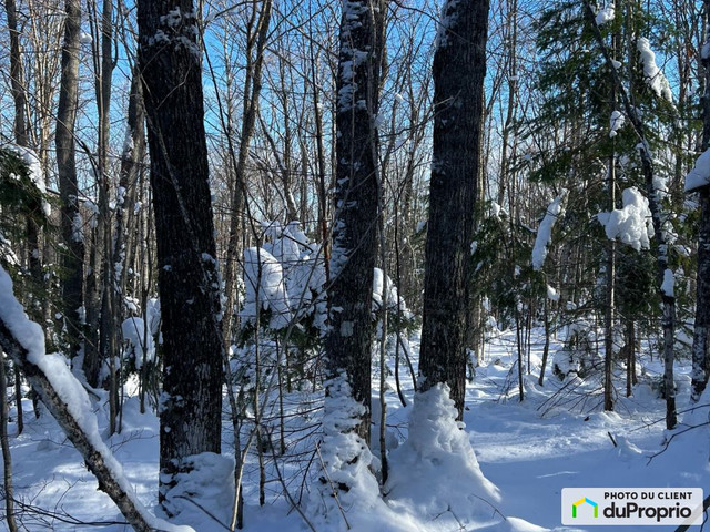 165 000$ - Terrain résidentiel à vendre à Degelis dans Terrains à vendre  à Edmundston