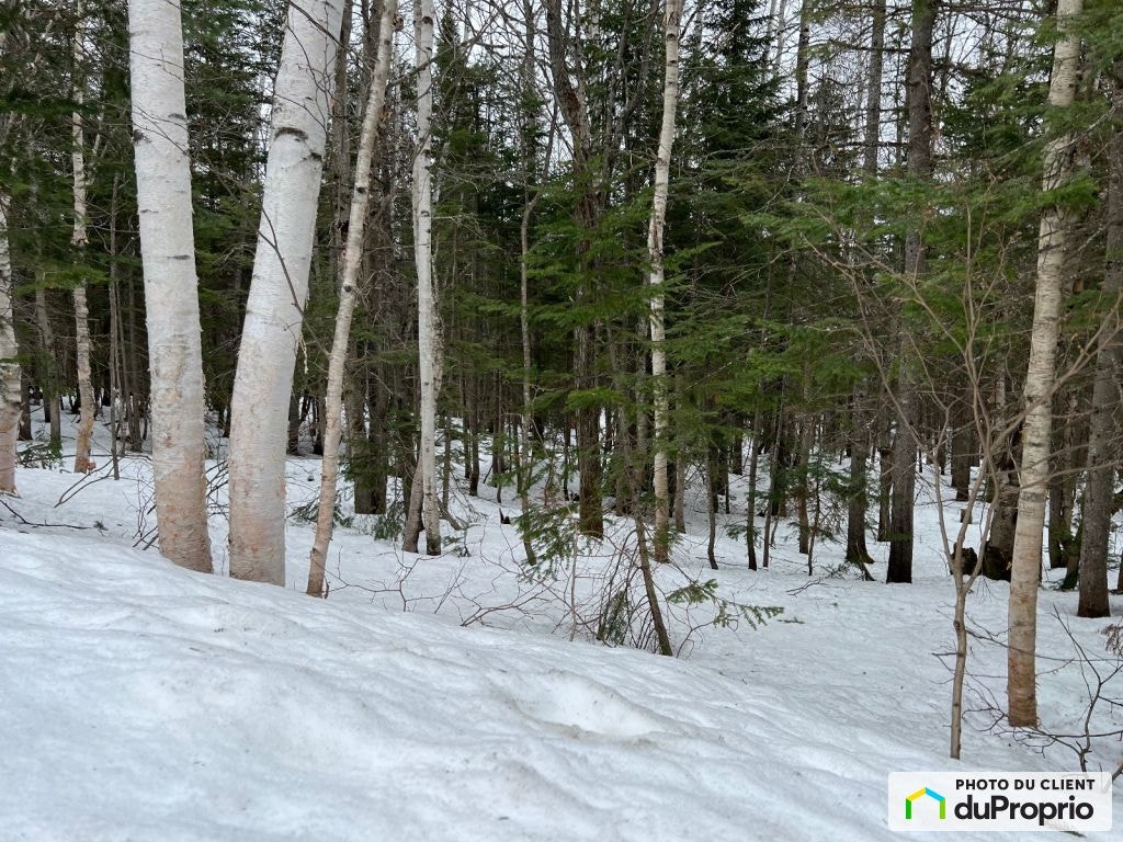 $86,000 - Residential Lot for sale in St-Magloire-De-Bellechasse — photo 1