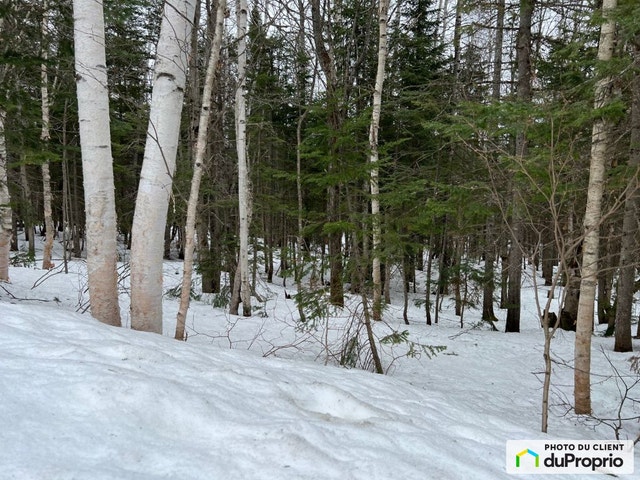 $86,000 - Residential Lot for sale in St-Magloire-De-Bellechasse — photo 1