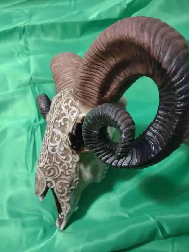 Decorative head in Other in Granby - Image 3