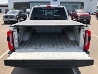 See Dealer Website for Details. 2023 Ford Super Duty F-350 SRW Limited ... Other Equipment Airbags,... (image 9)