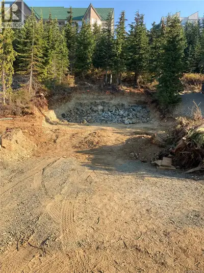 Excellent opportunity to build on Mount Washington! This site has been cleared, has permits that are...