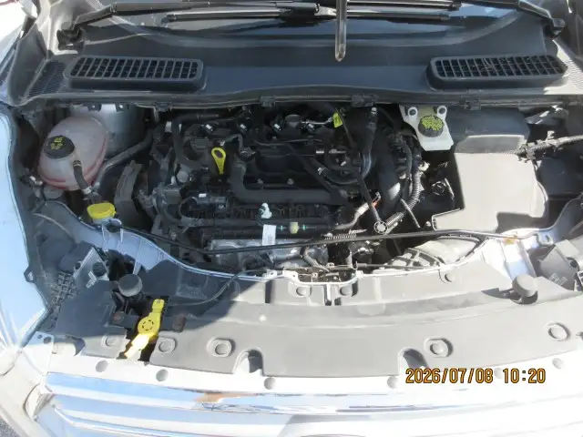 2019 Ford Escape SEL5094524261512192013