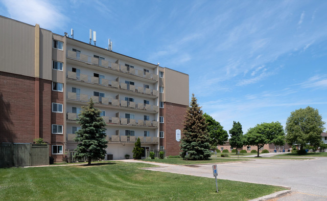 Chatham 1 Bedroom Apartment for Rent: in Long Term Rentals in Chatham-Kent - Image 4