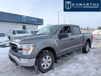2021 Ford F-150 XLT Crew Cab 4WD Clean, Capable, and Built Ford Tough | No Accidents | ⚙️ Performanc...
