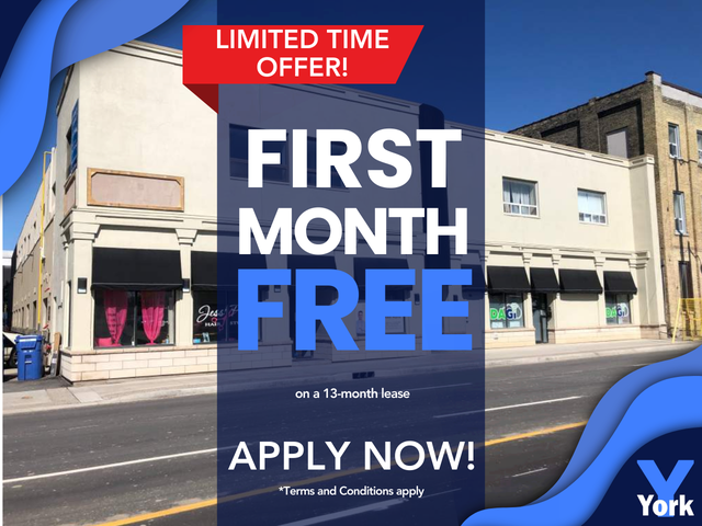 One Bedroom, Beautiful Suite Downtown!