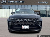 Embrace the perfect blend of efficiency and elegance with this stunning 2024 Hyundai Tucson Hybrid L... (image 7)