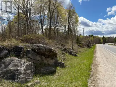Build your vision on this well-located vacant lot just minutes from Sharbot Lake. Situated along a m...