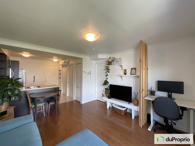 $325,000 - Condominium in Ville-Marie (downtown, old Mtl) — photo 3