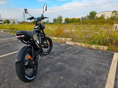 2000W Retro Ebike - Dual Motor Electric Bike 55km/h - Financing, View more