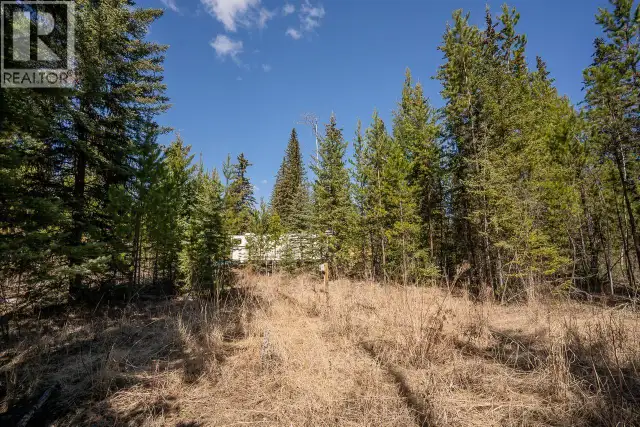 6301 ARCHIE MEADOW ROAD Forest Grove, British Columbia in Land for Sale in 100 Mile House - Image 6