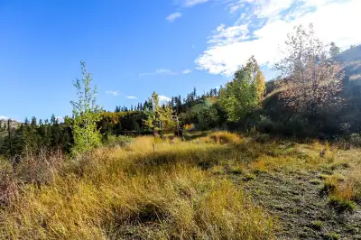 Adventure awaits you on this view property located in the scenic North Thompson Valley. Bordered by...