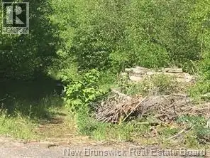 Looking to develop a residential subdivision or your very own large parcel of land? Look no further...