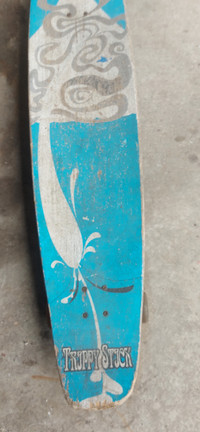 Skateboard 44 in