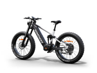 1000W Mid-Drive Motor Full Suspension Fat Tire Ebike 160NM TRQ