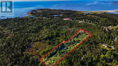 Once a cherished homestead for someone who truly appreciated the natural beauty of the land, this pr...