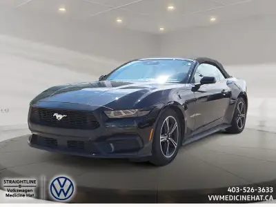 AMVIC-licensed business 2025 Ford Mustang EcoBoost | Turbocharged Power, Iconic Style, Modern Perfor...