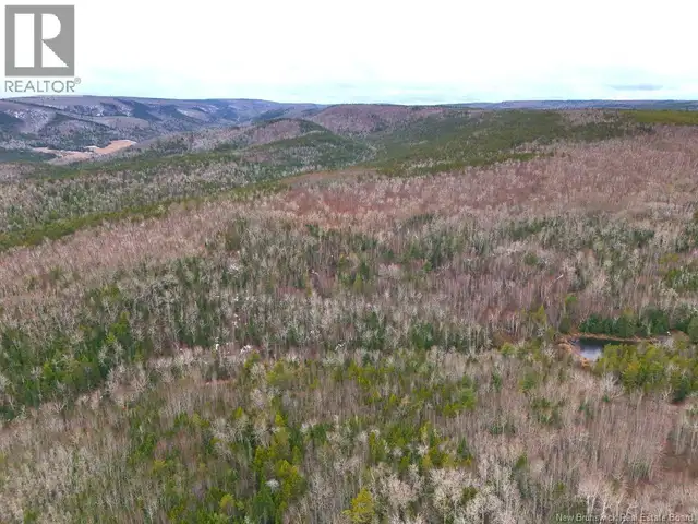 Lot Shaw Road Shenstone, New Brunswick in Land for Sale in Moncton - Image 9