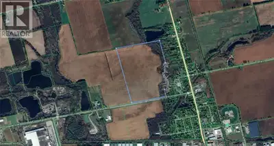 Prime agricultural property offering 82 acres with approximately 70 workable acres. Predominately lo...