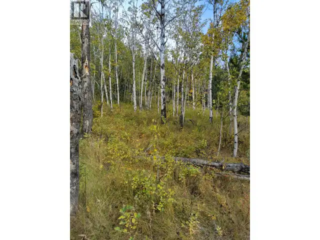 280 BLACKSTOCK ROAD 100 Mile House, British Columbia in Land for Sale in 100 Mile House - Image 5