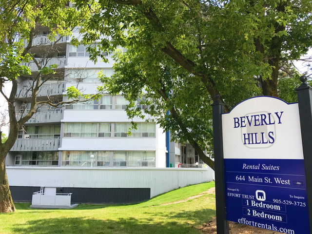 Beverly Hills Apartments - Bachelor Apartment for Rent in Long Term Rentals in Hamilton - Image 2