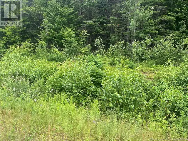 0 Route 127 Bayside, New Brunswick63008308504067122