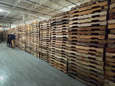 Plastic pallets 51x43, 43 & 39 square skids & 48x40 wood or euro, View more
