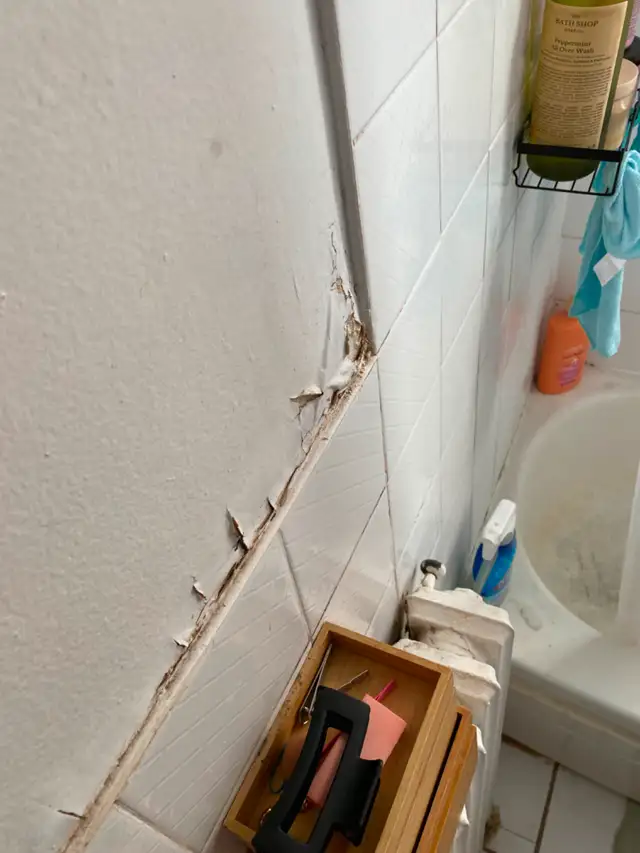 Bathroom & Wall Repair – Mold, Peeling Paint, and Full Repaintin62863716038018122