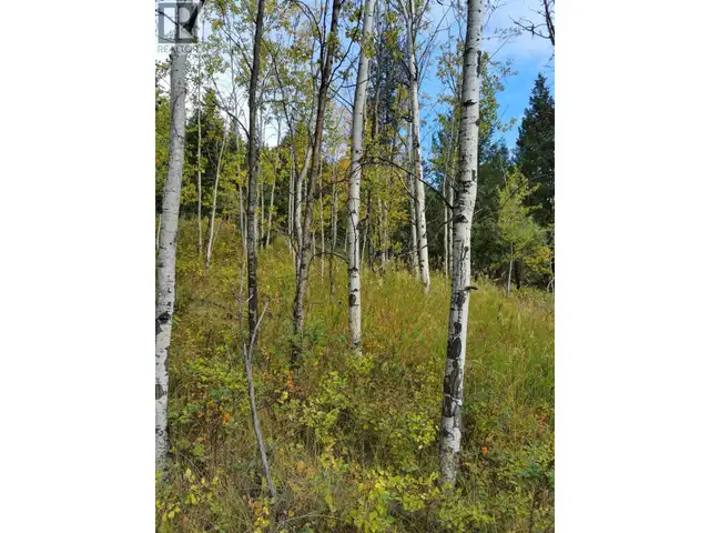 280 BLACKSTOCK ROAD 100 Mile House, British Columbia in Land for Sale in 100 Mile House - Image 7
