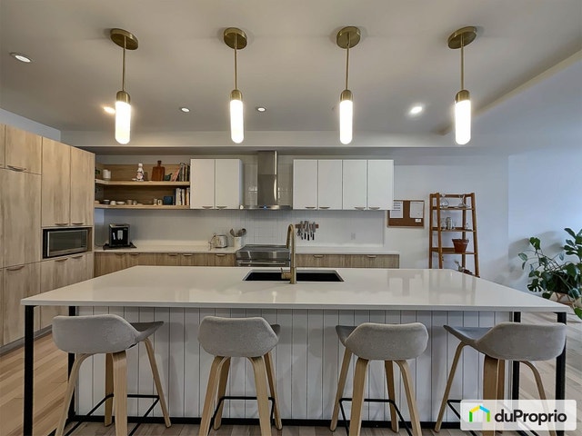 $1,185,000 - Condominium for sale in Rosemont / La Petite Patrie — photo 3